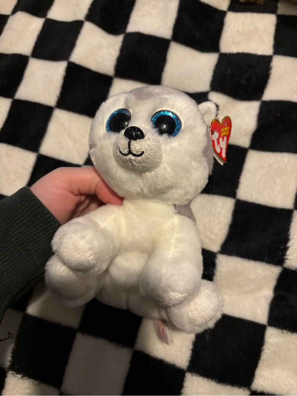 Buff the Husky beanie boo with tags